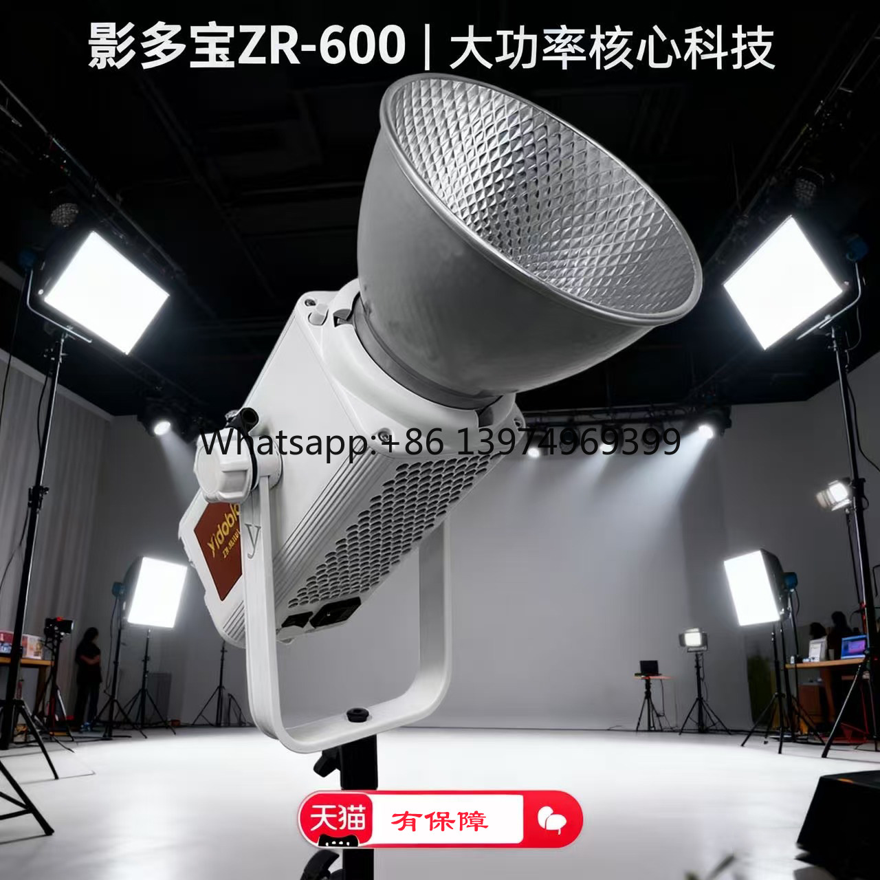Photography Lighting Definition - 잉두바오 600w 전문가용 직광 조명, 주요