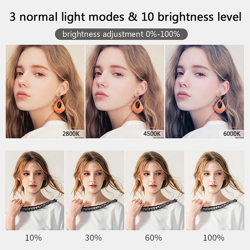 10 인치 LED Selfie 링 라이트 서클 필 라이 - Photography Lighting Set Up 리뷰 및 가격